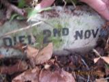 image of grave number 366113